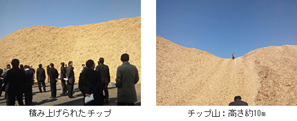 「積み上げられたチップ」と「チップ山(高さ10m)」の写真