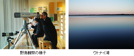 野鳥観察の様子/ウトナイ湖