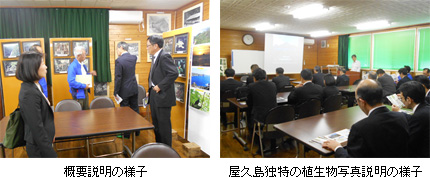 概要説明の様子/屋久島独特の植生物写真説明の様子